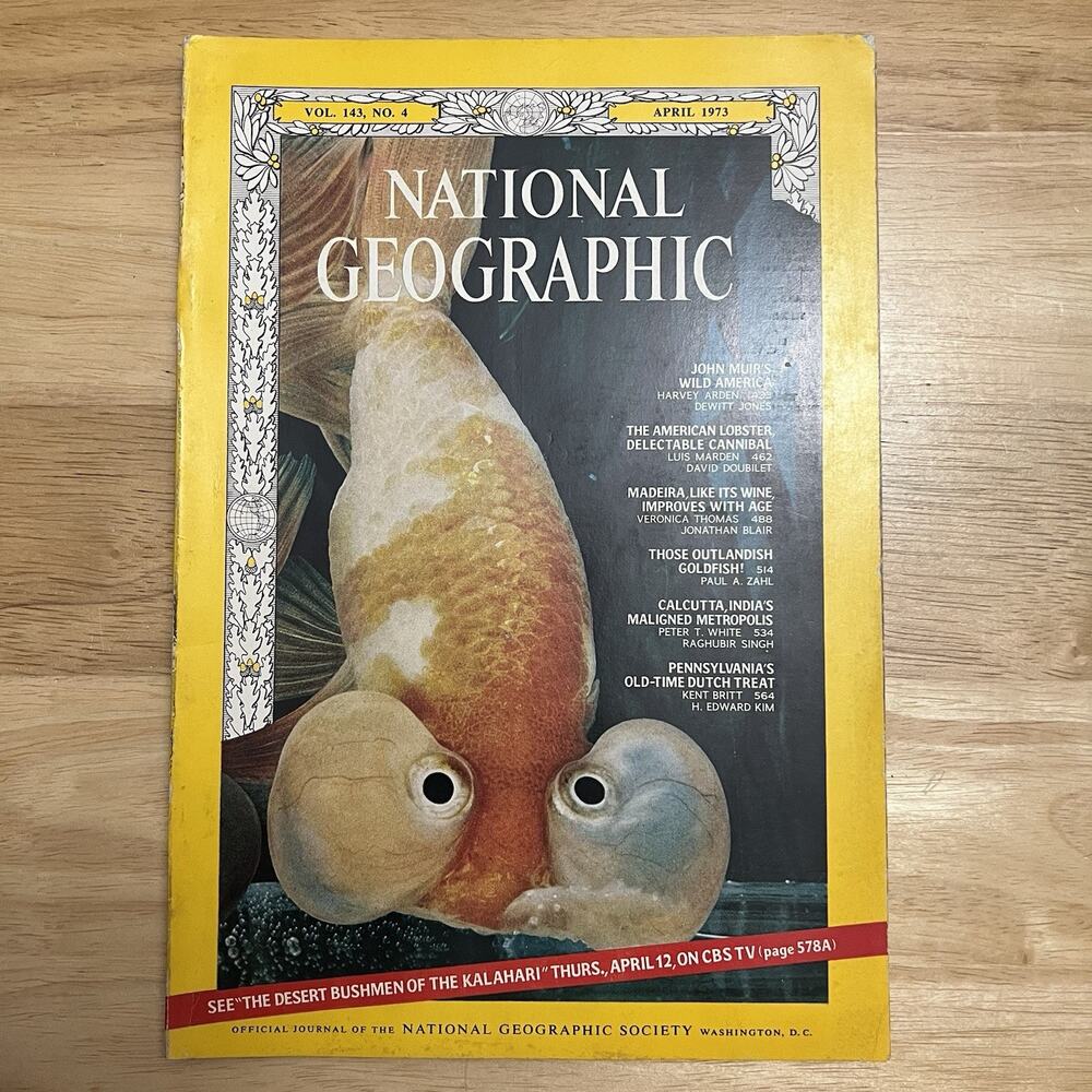 Vintage National Geographic April 1973 John Muir Madeira Lobsters No Map